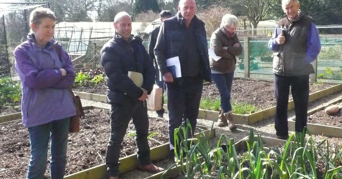 Grow the Best Possible Vegetables