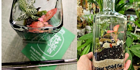 York Gin X Outside In - Terrarium Workshop
