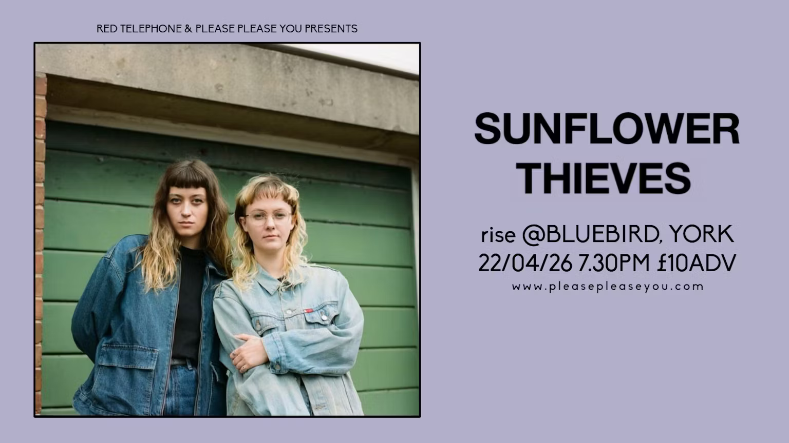 Sunflower Thieves event image at Bluebird Bakery 201 Acomb Rd, Acomb, York YO24 4HD