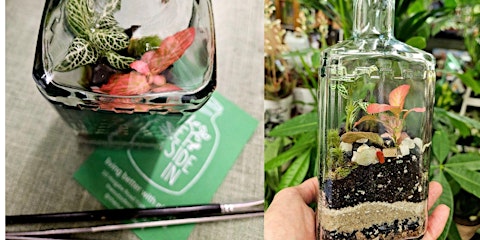 York Gin with  Outside In - Terrarium Workshop