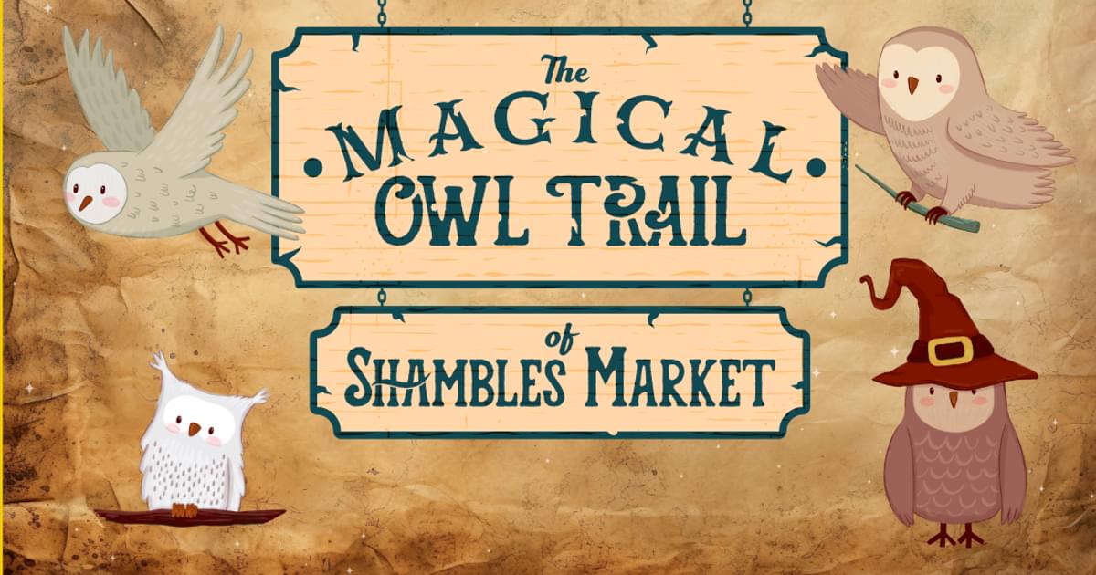 The Shambles Market Owl Trail