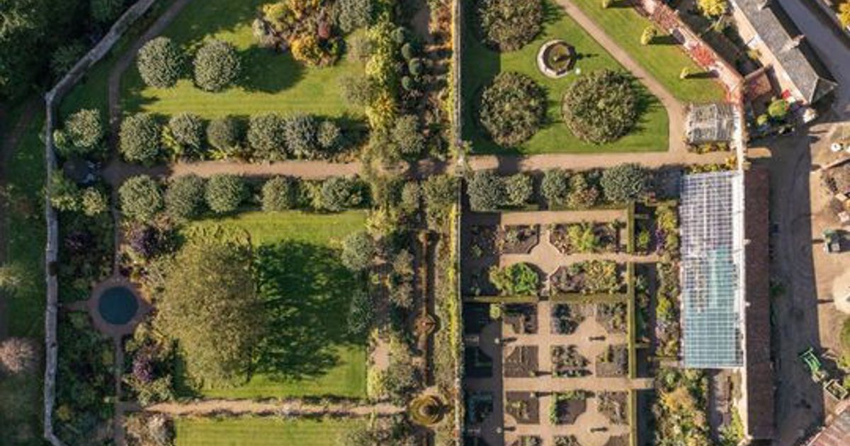 Explore the Shaded Dell with Our Garden Team