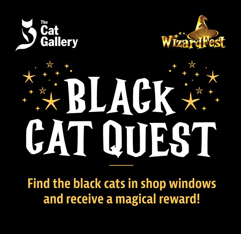 The Black Cat Quest