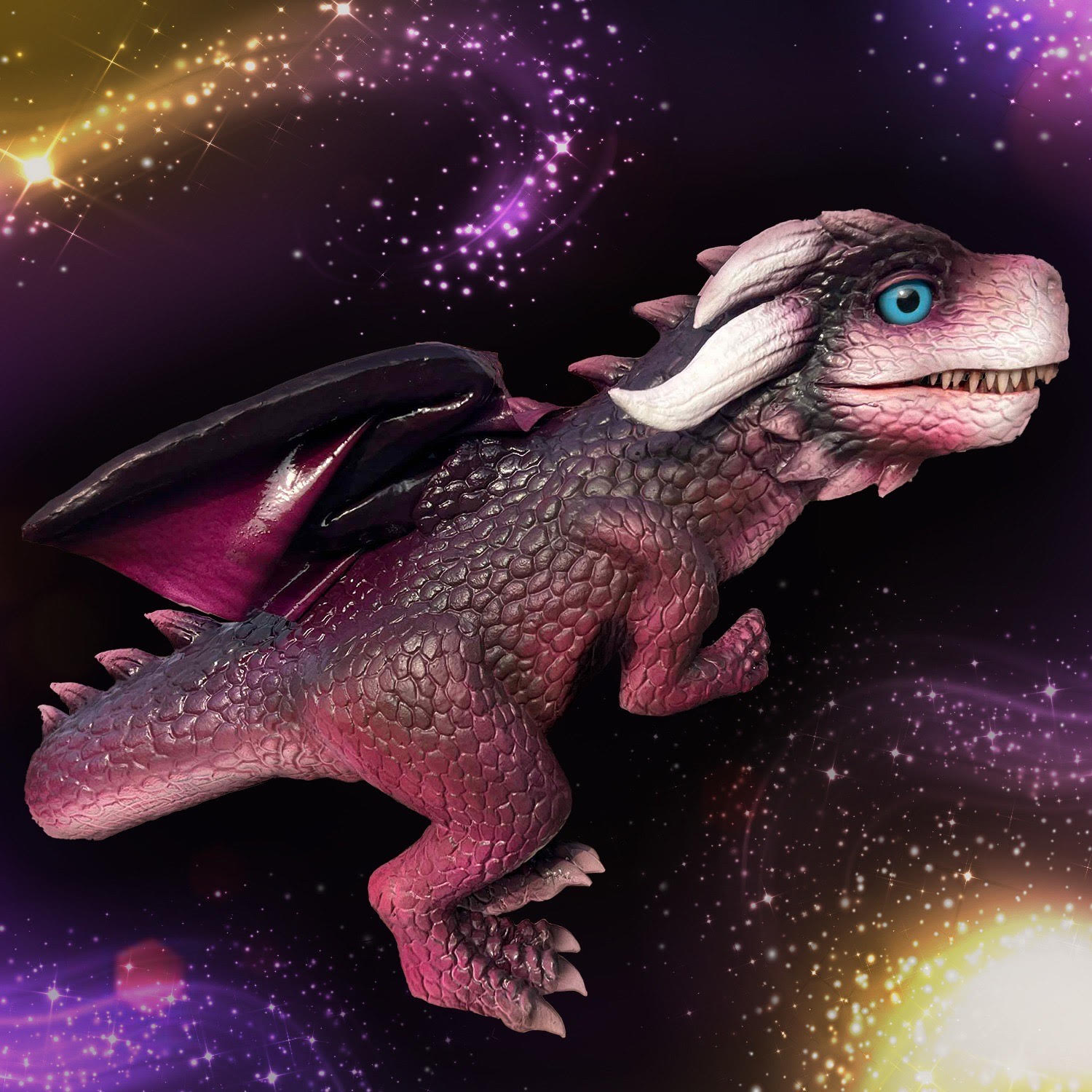 Meet a Dragon