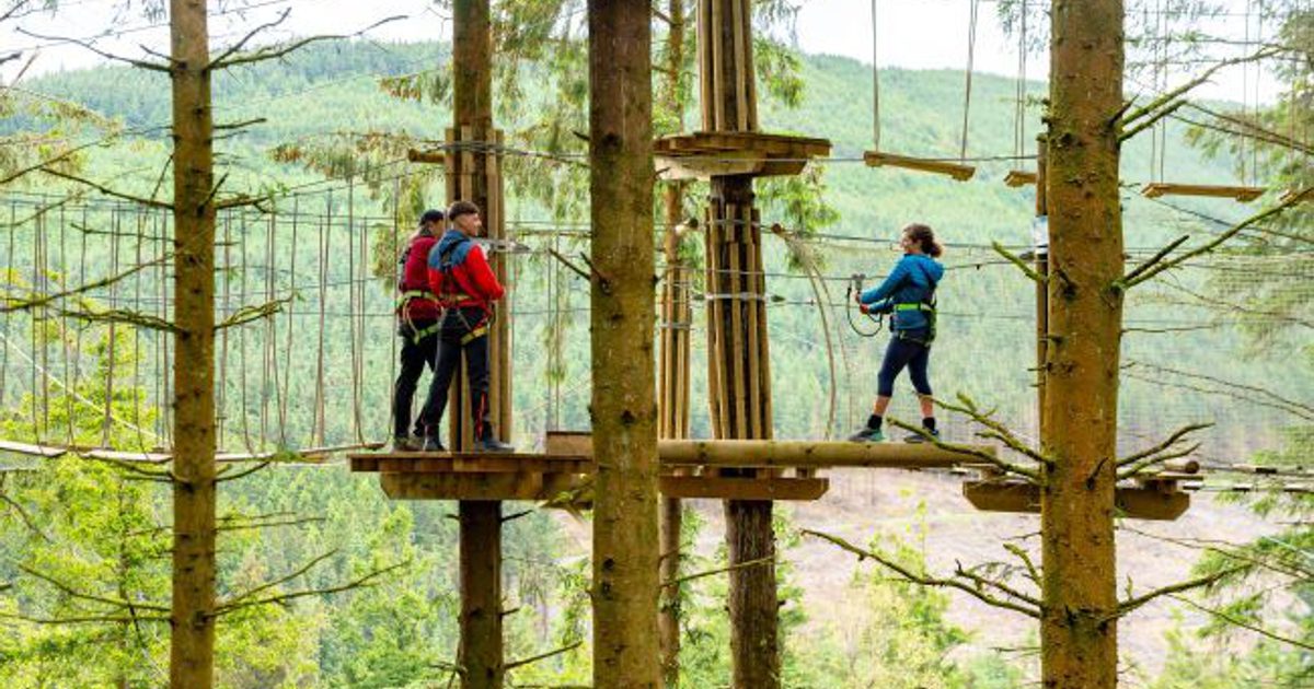Half-Term Adventures at Go Ape Dalby