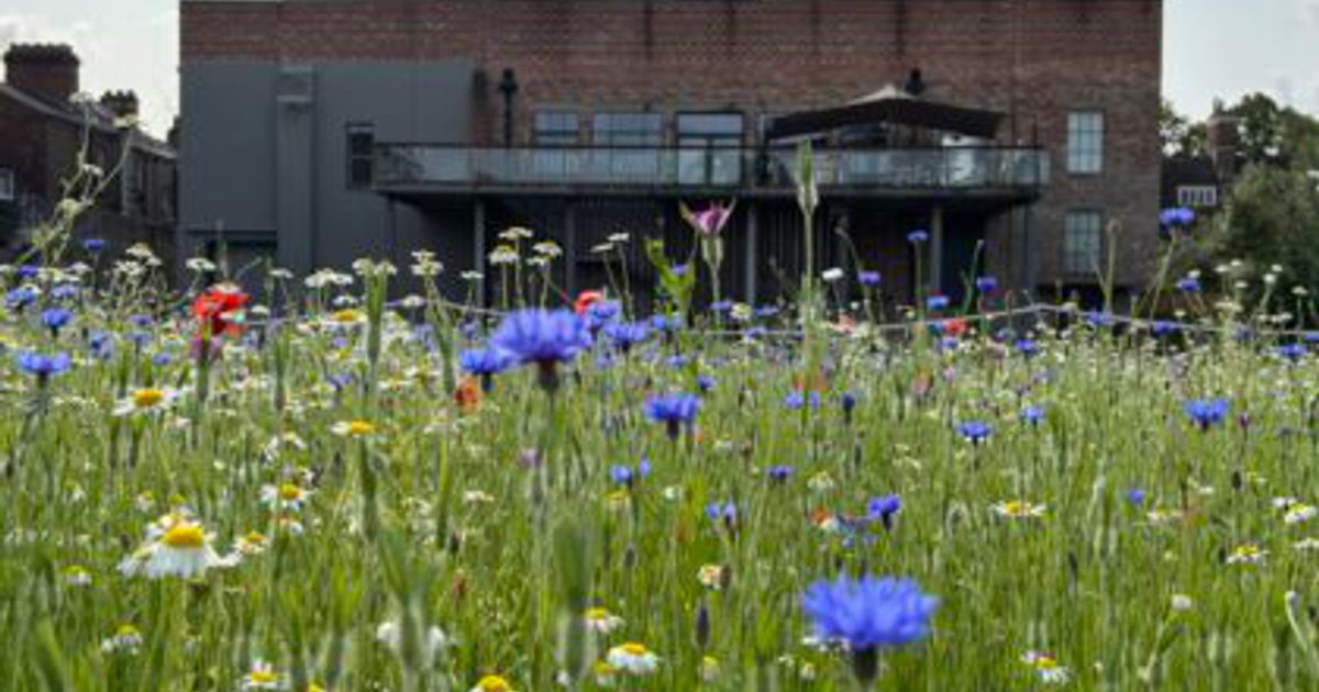 Art Outdoors: Make a Splash