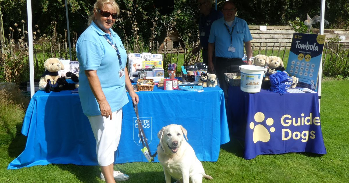 Support Dogs Fundraising Afternoon