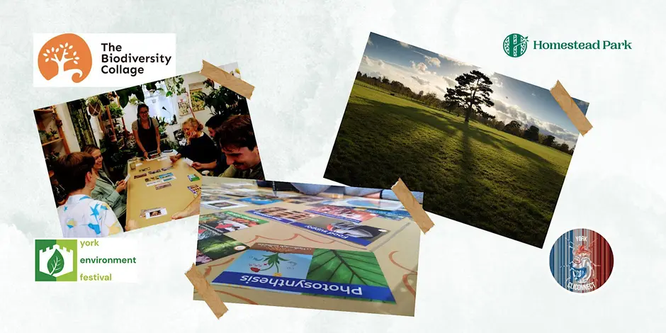 York! Get to grips with the Ecological Crisis @ Homestead Park