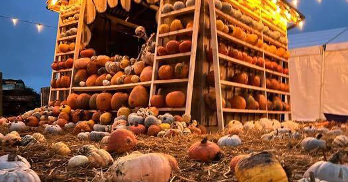 Adults Only Pumpkin Nights