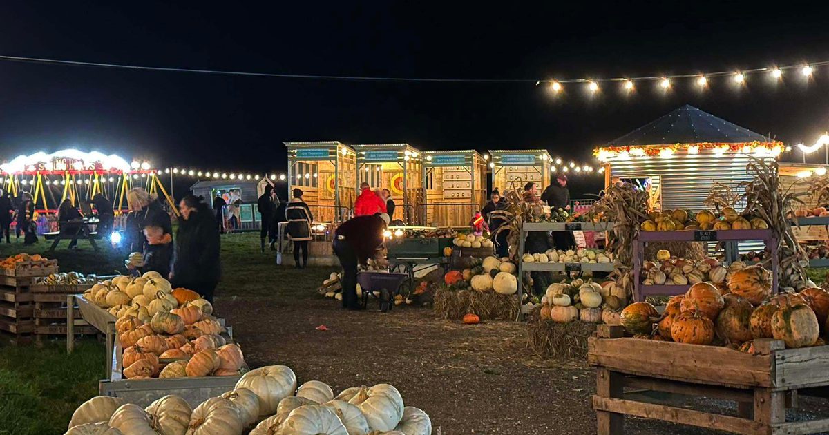 Family Friendly Pumpkin Night