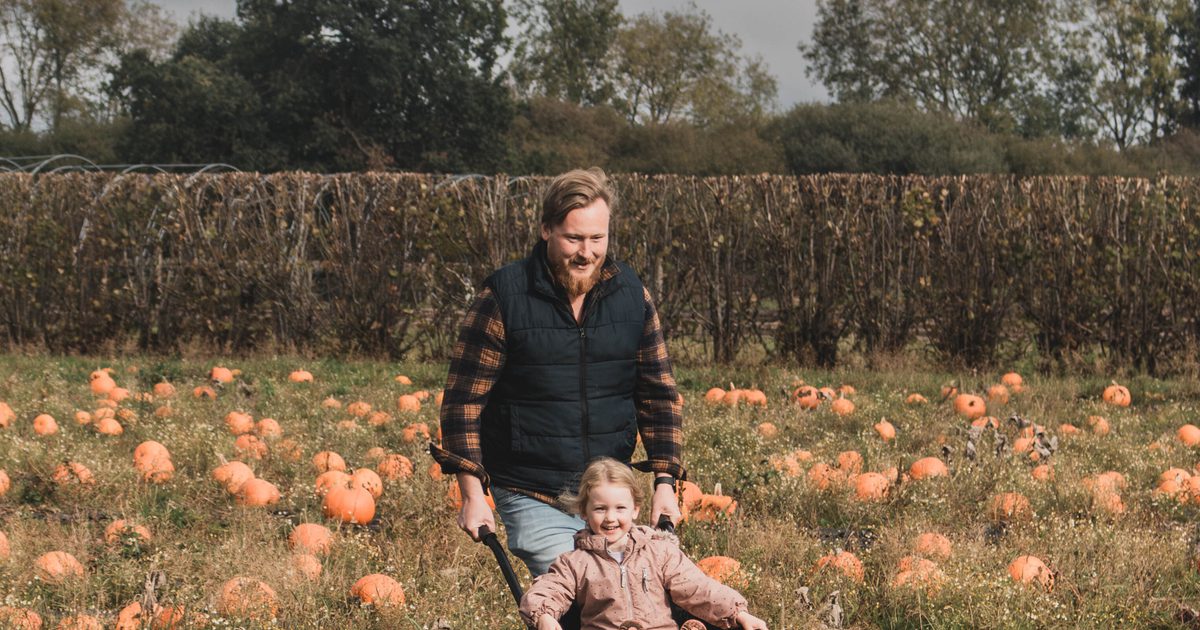 Pick Your Own Pumpkins
